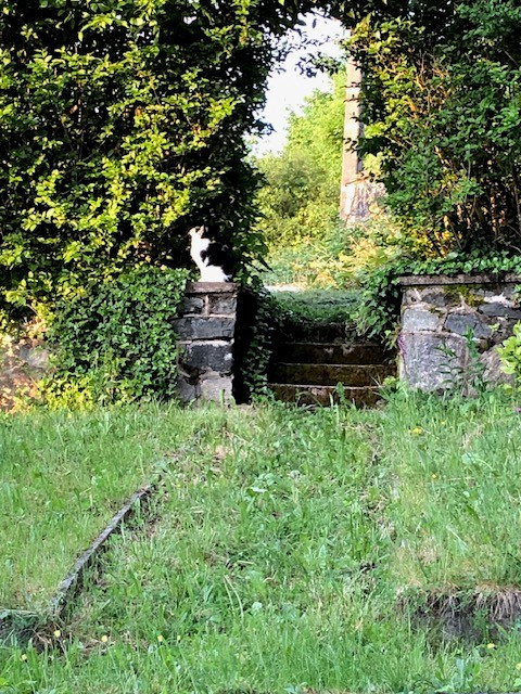 GreenGo Chambre d’hôtes Nouvelle-Aquitaine Évasion