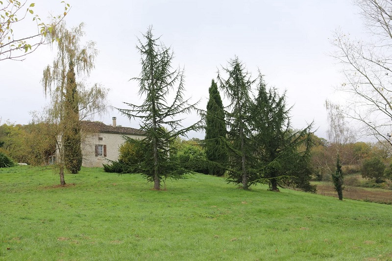GreenGo Chez "chambres d'hôtes des doux géants"