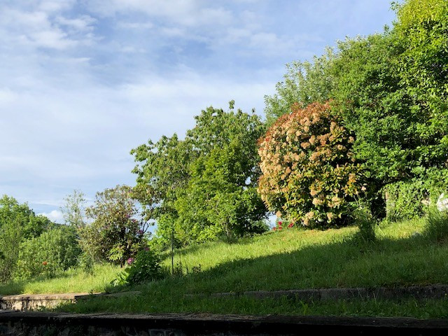 GreenGo location vacances écoresponsables