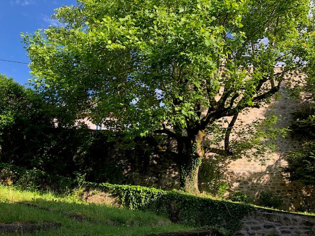 Corrèze En ville