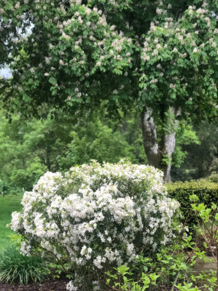 GreenGo Chambre d’hôtes Bretagne À la campagne