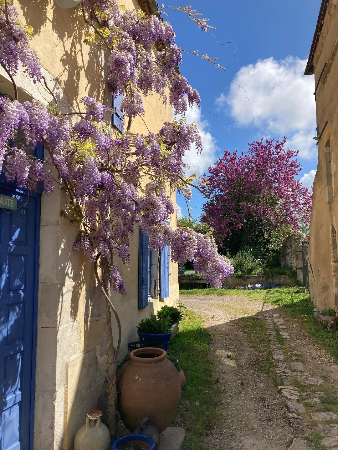 Hôte GreenGo: Casa Bella