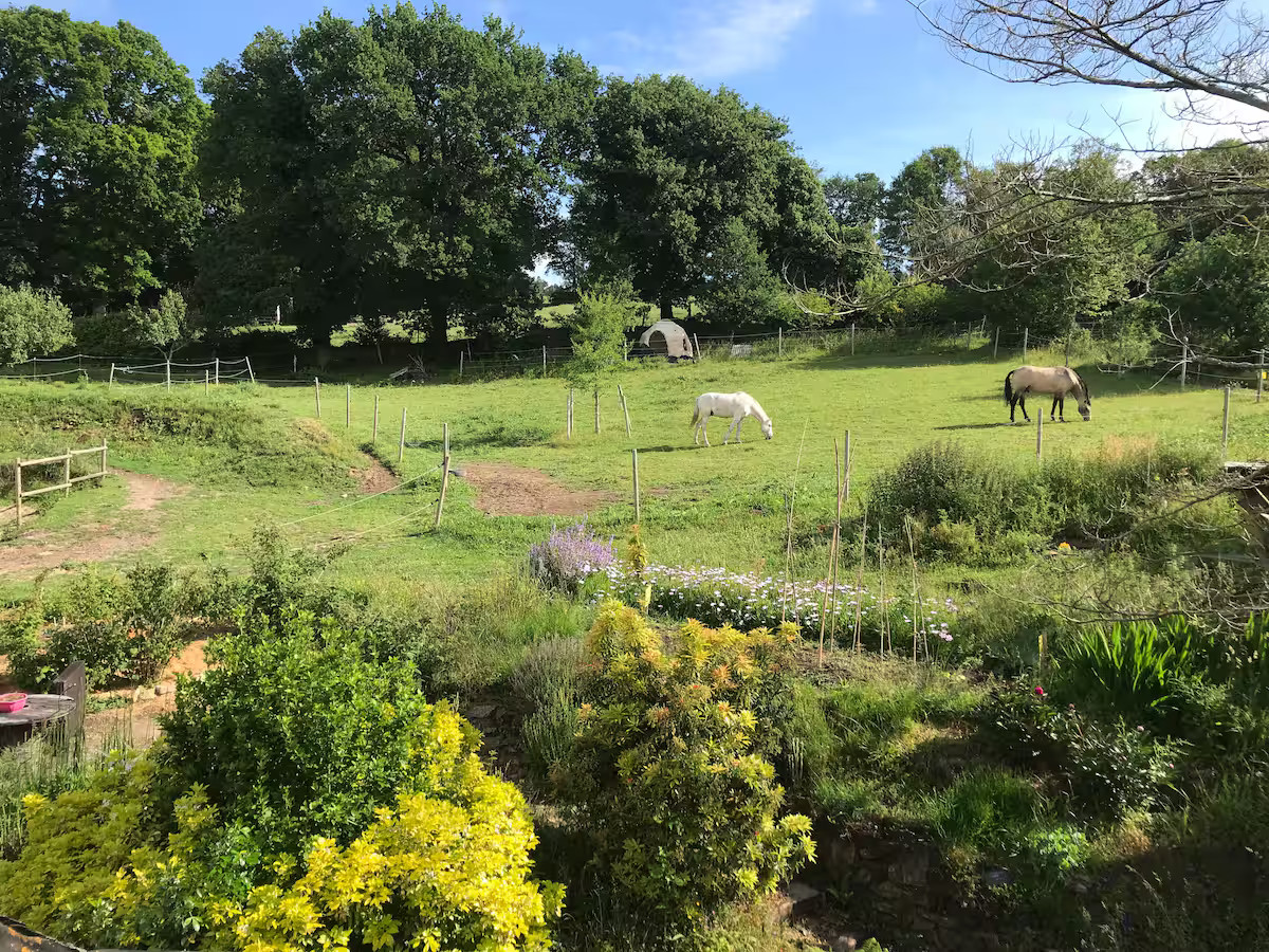 GreenGo location vacances écoresponsables