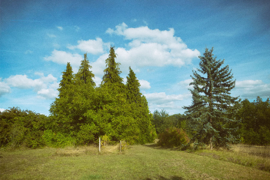 GreenGo La Montagne Sud