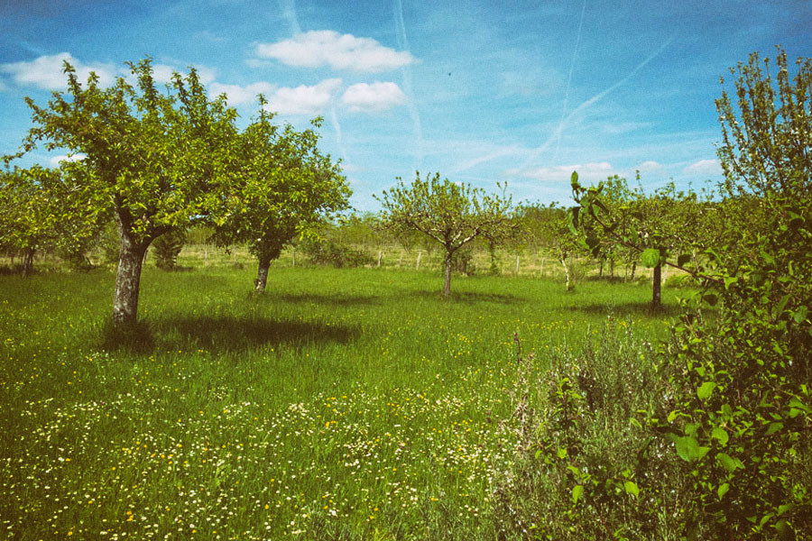 GreenGo location vacances écoresponsables