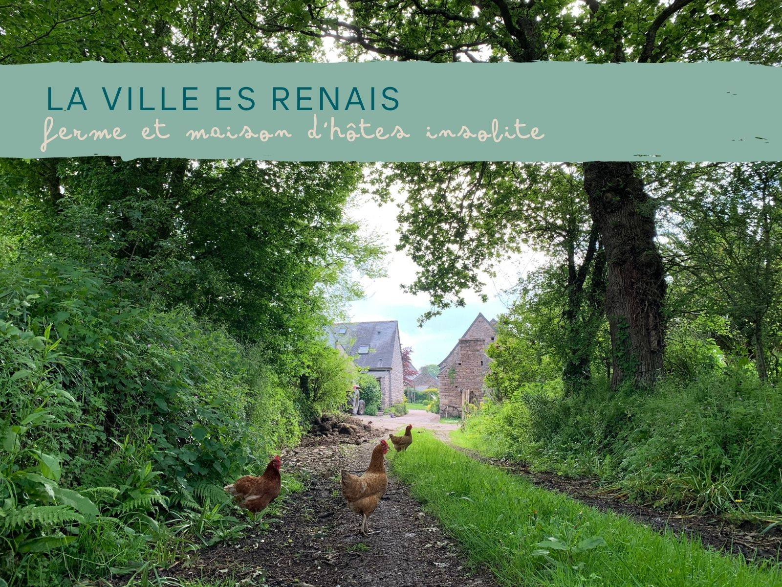 GreenGo Gîte Bretagne Évasion