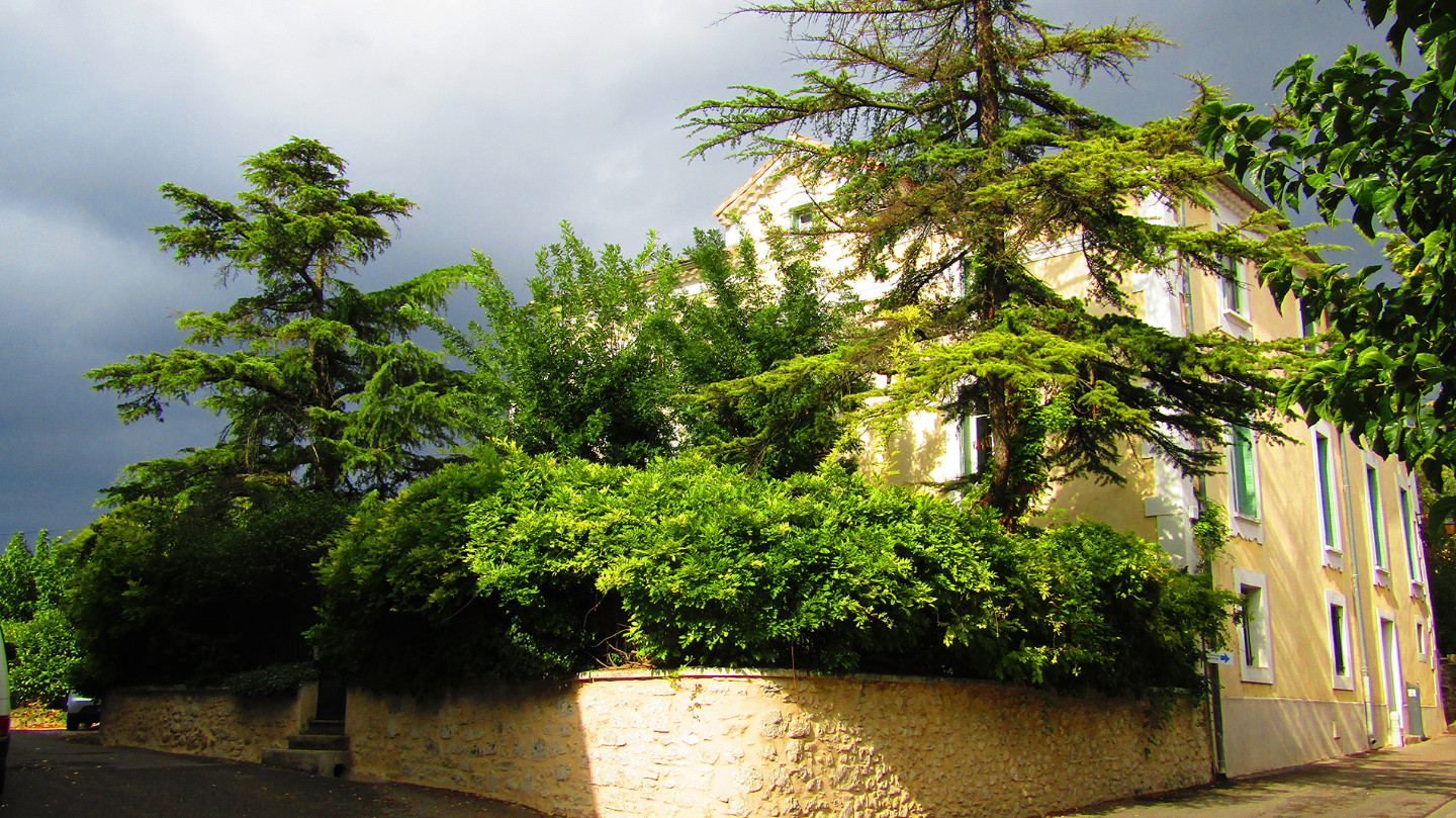 Gard À la campagne
