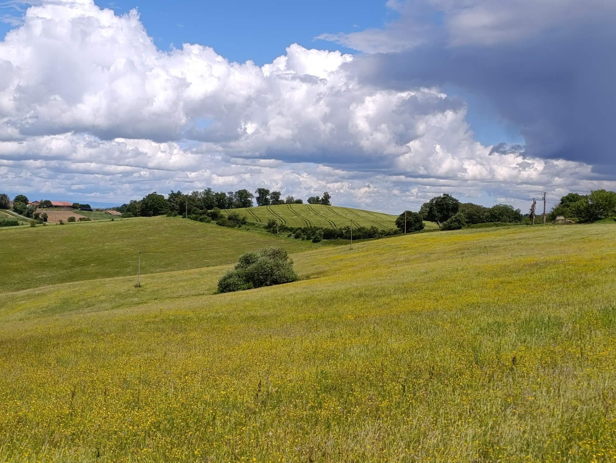 Hôte GreenGo: Une ferme dans les coteaux à Saverdun