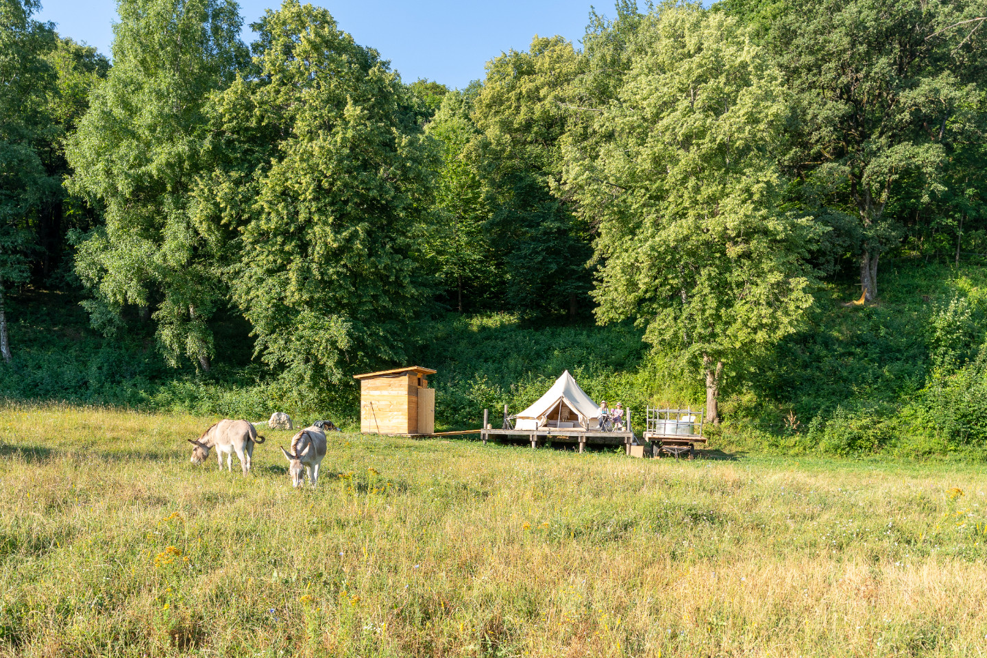 GreenGo location vacances écoresponsables
