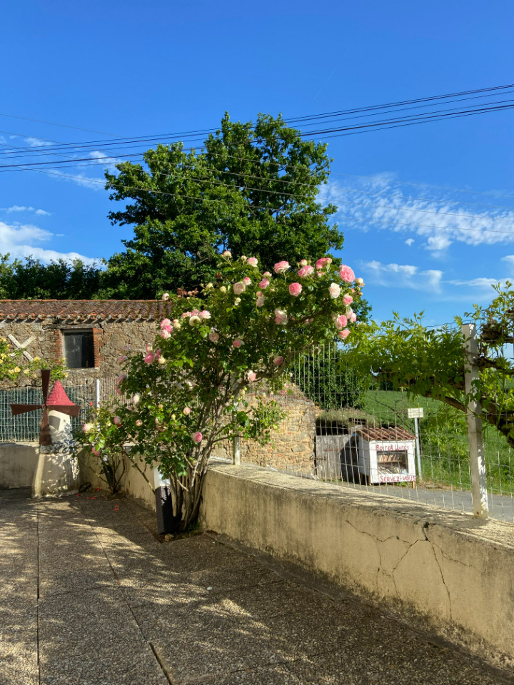 GreenGo Gîte Pays de la Loire Évasion