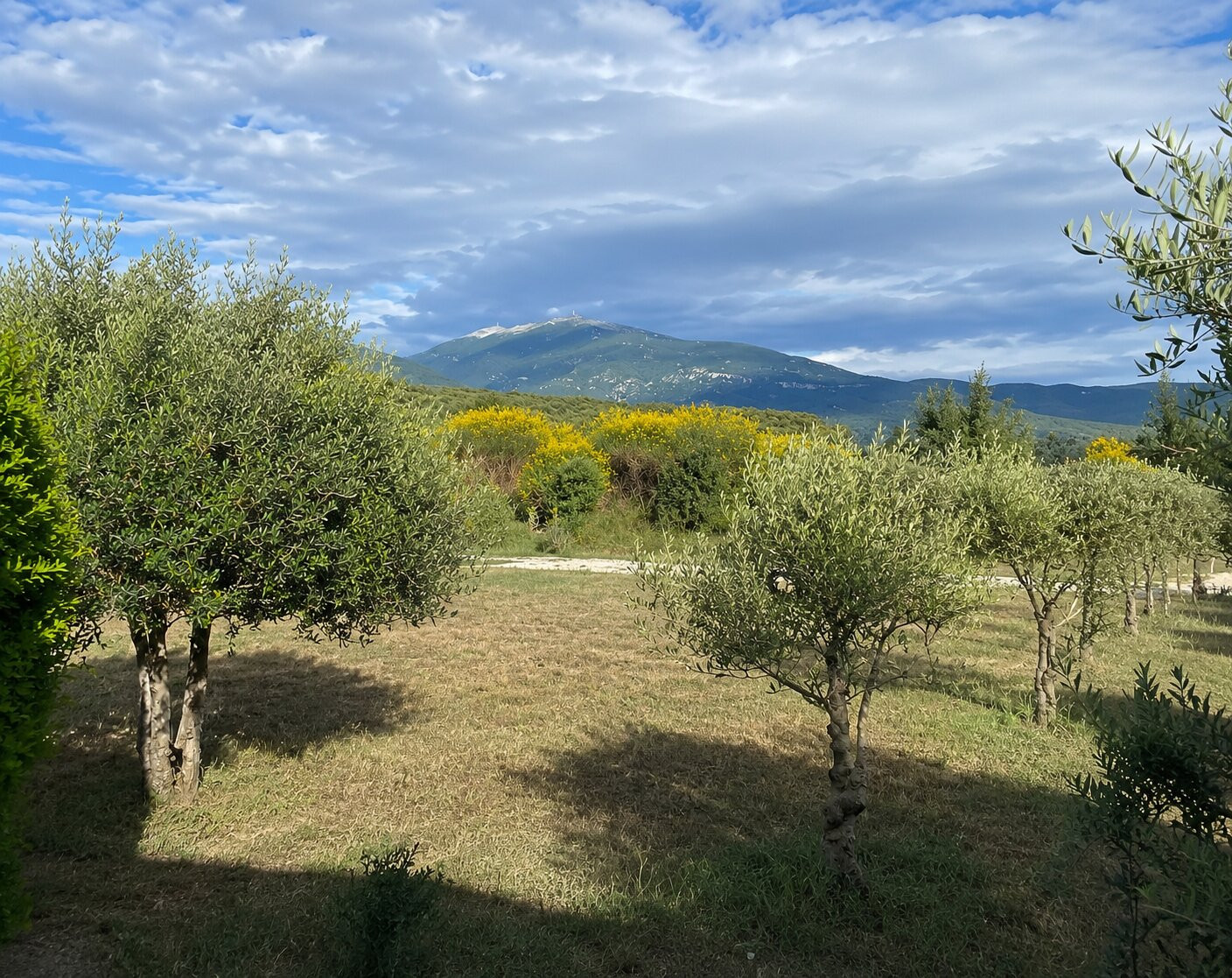 Maison Ventoux