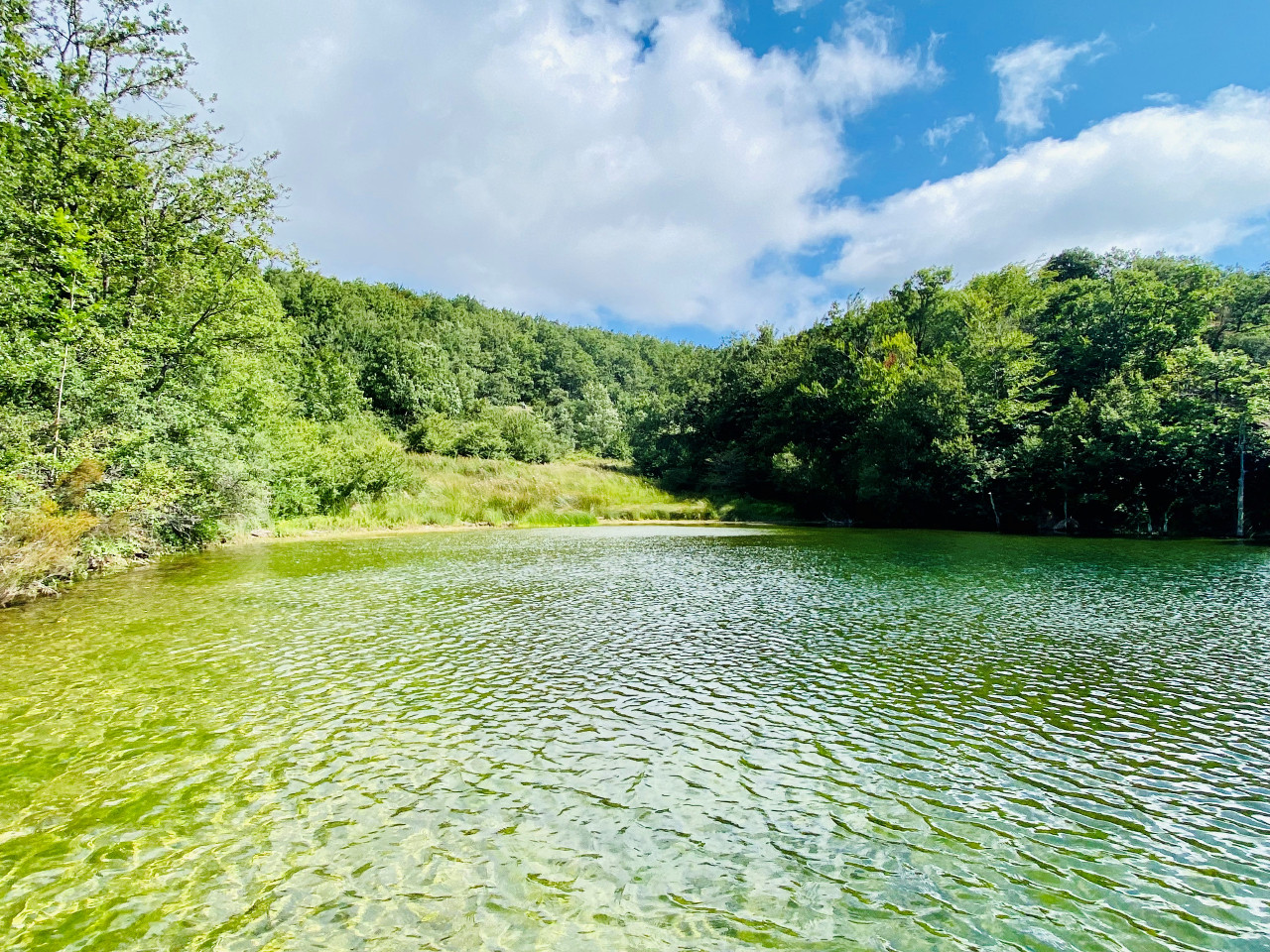 GreenGo Gîte Occitanie Évasion