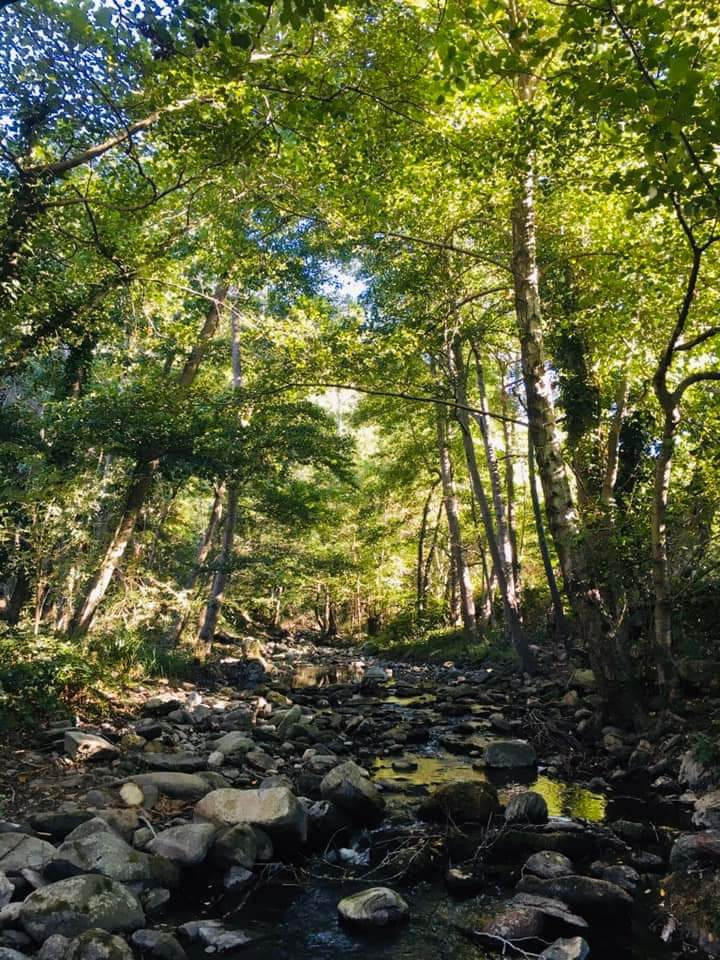 GreenGo location vacances écoresponsables