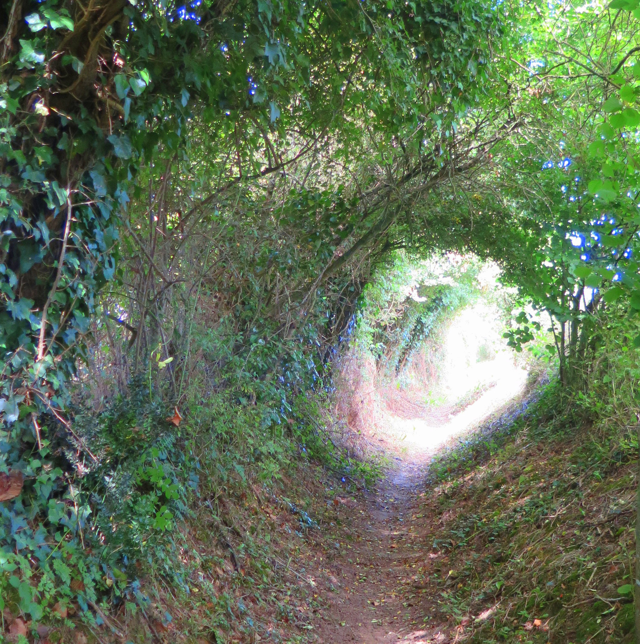 Location Sarthe À la campagne
