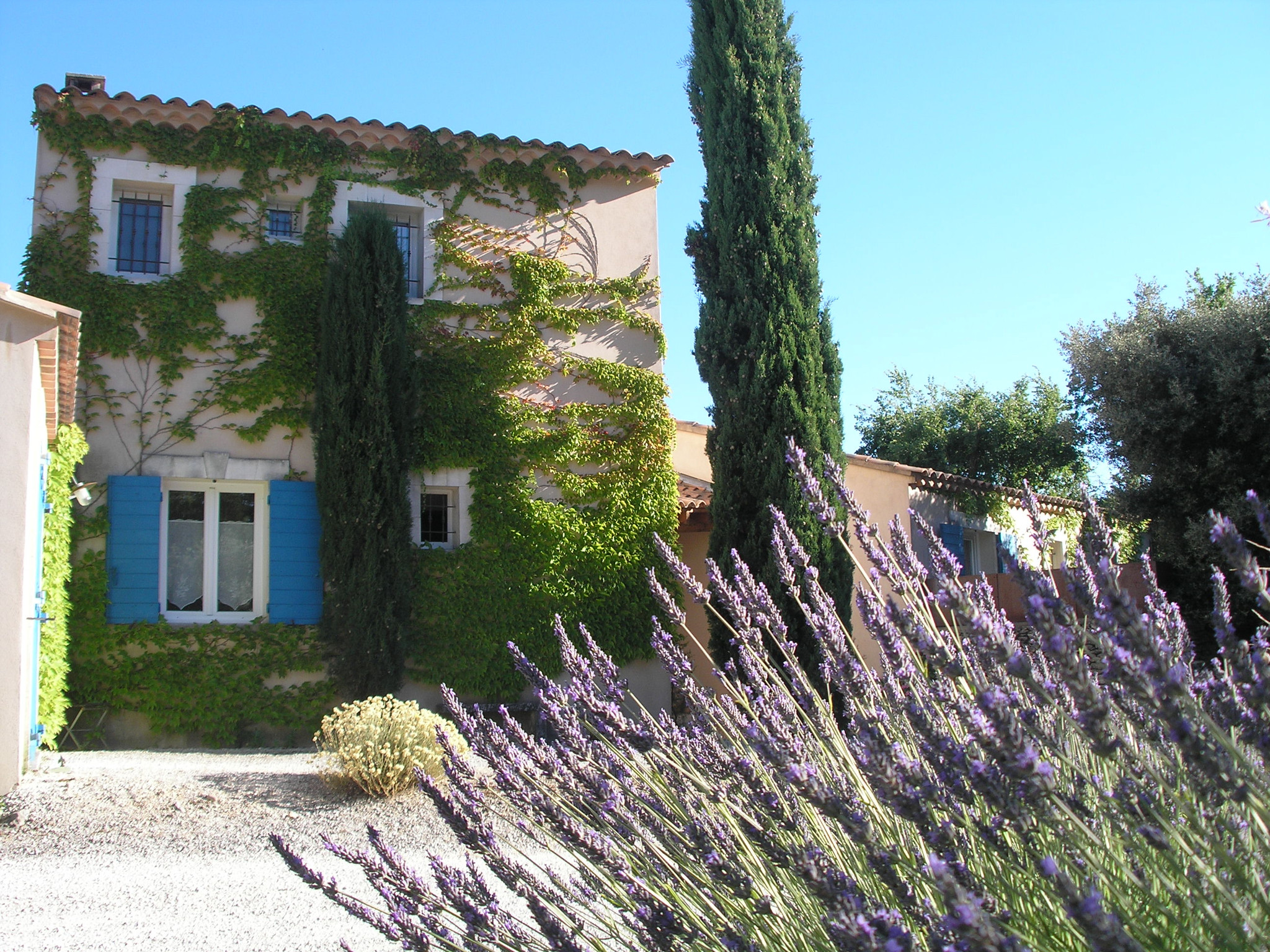 Hôte GreenGo: Chambres d'hôtes et suites de charme climatisées-le clos des lavandes- Luberon