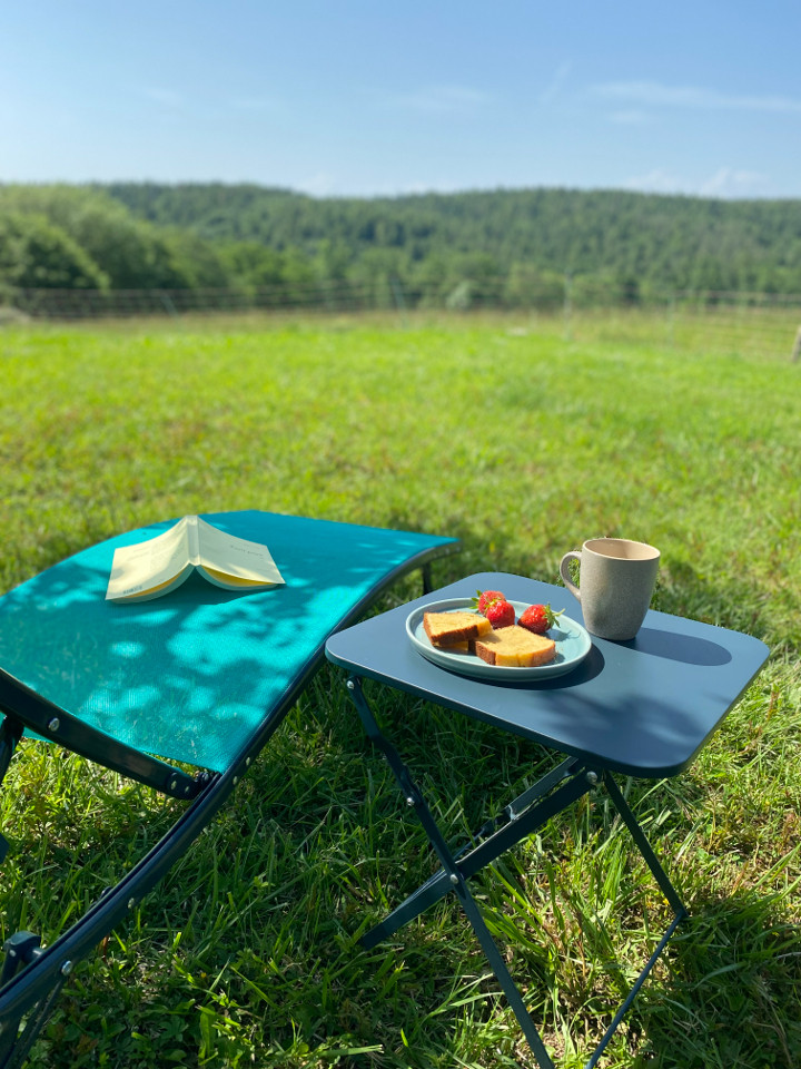 GreenGo location vacances écoresponsables