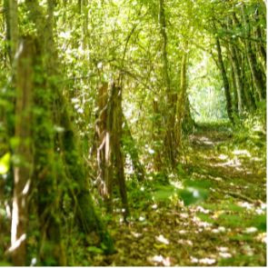 GreenGo location vacances écoresponsables