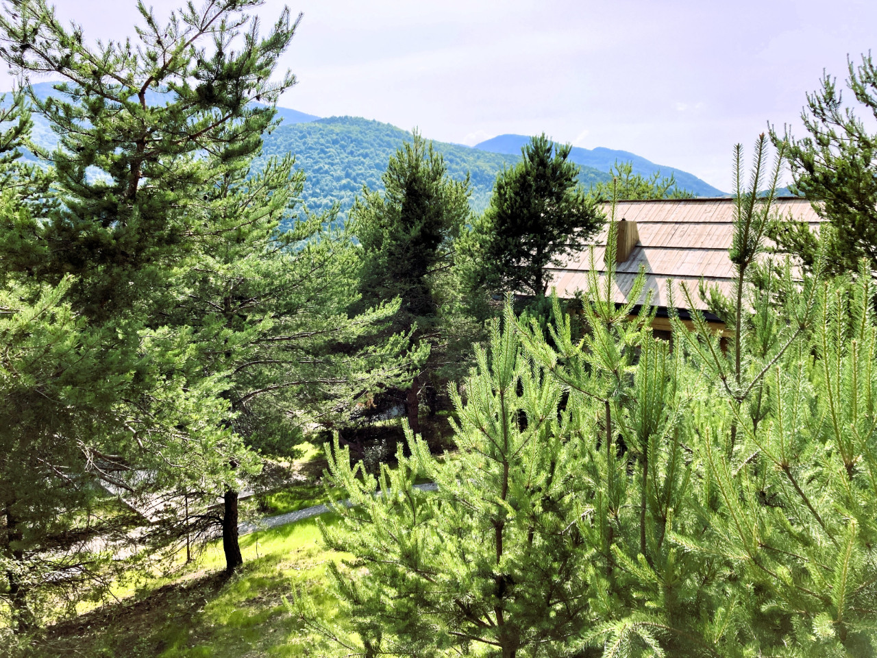 GreenGo location vacances écoresponsables