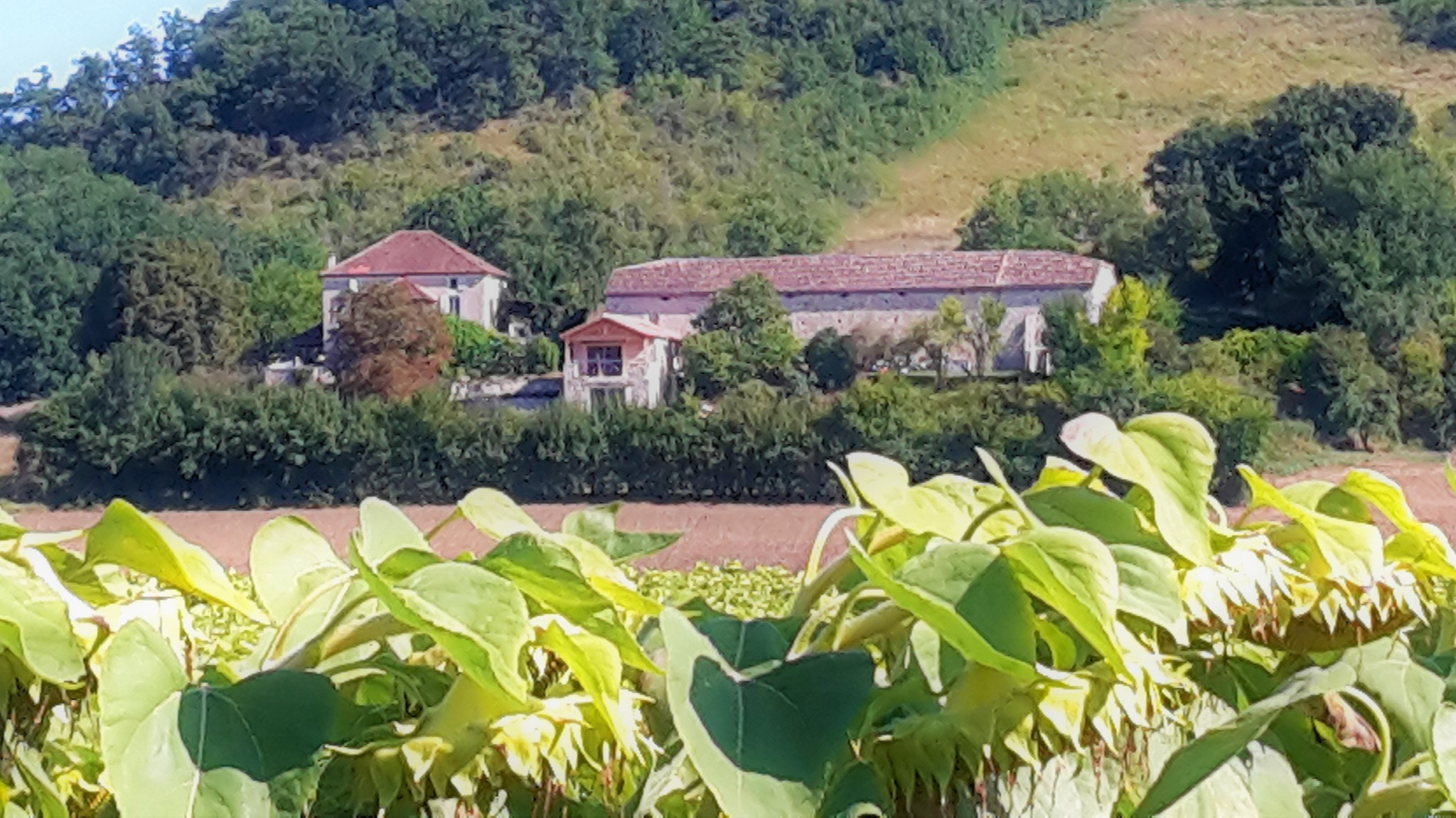 GreenGo Gîte Occitanie Haut-de-gamme