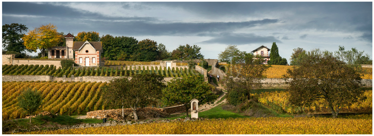 GreenGo Chambre d’hôtes Bourgogne-Franche-Comté Évasion