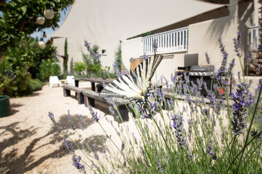 La Villa les petits gardons