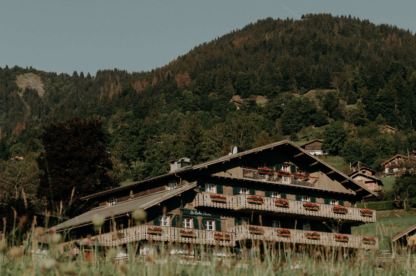 GreenGo Hôtel les Roches Fleuries ****