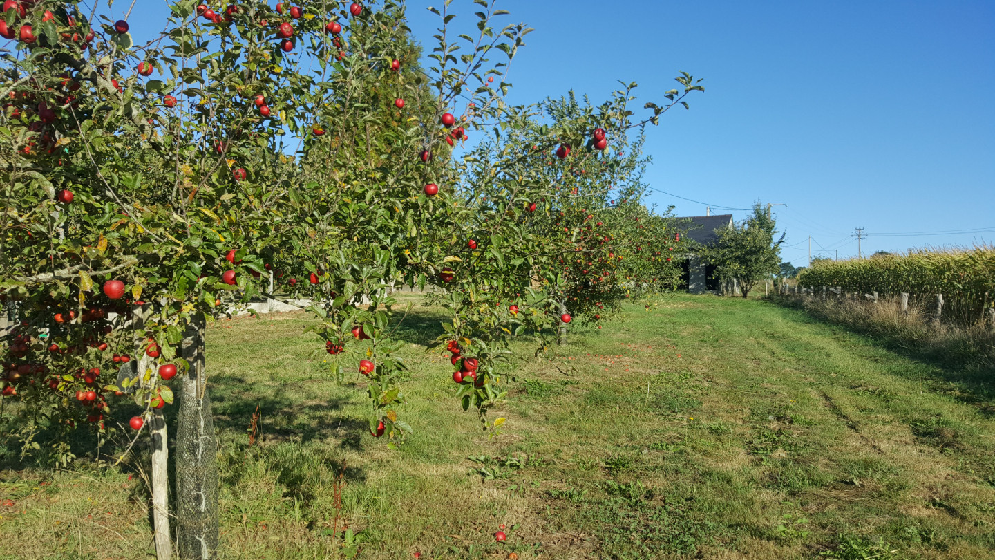 GreenGo Chambre d’hôtes Pays de la Loire À la campagne