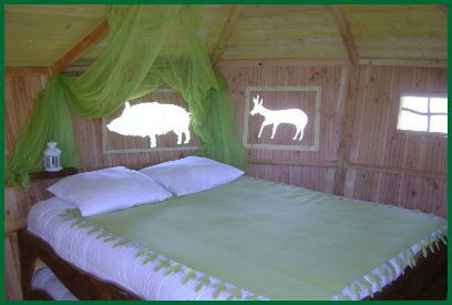 GreenGo location vacances écoresponsables