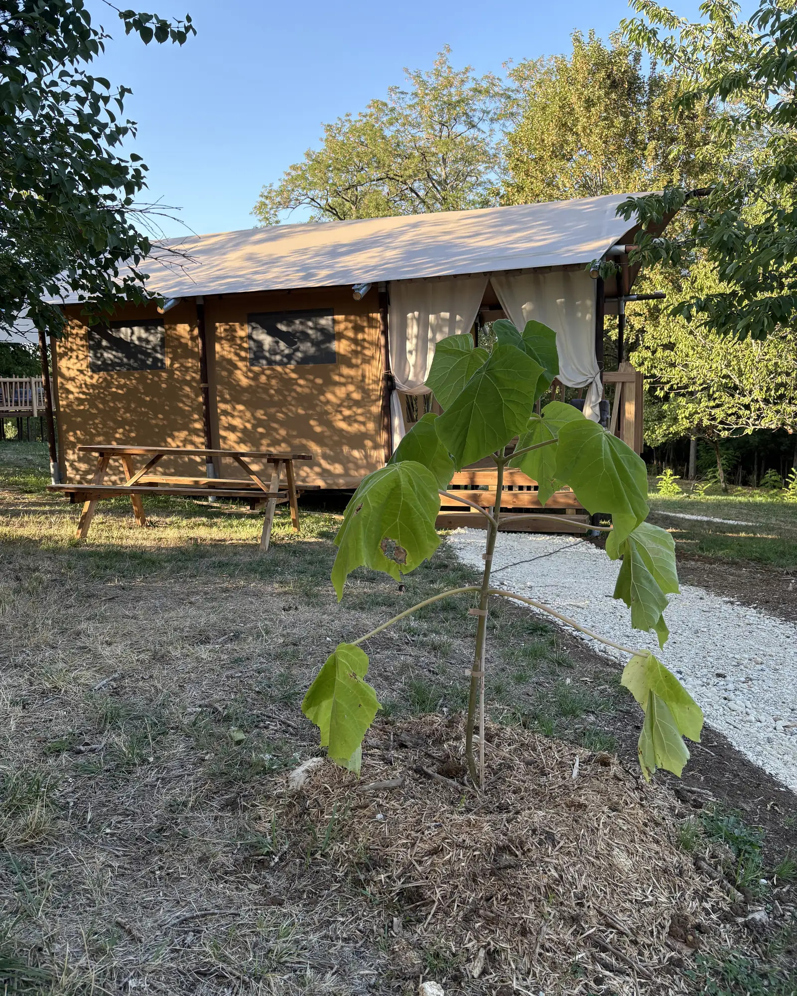 Logement insolite Dordogne À la campagne