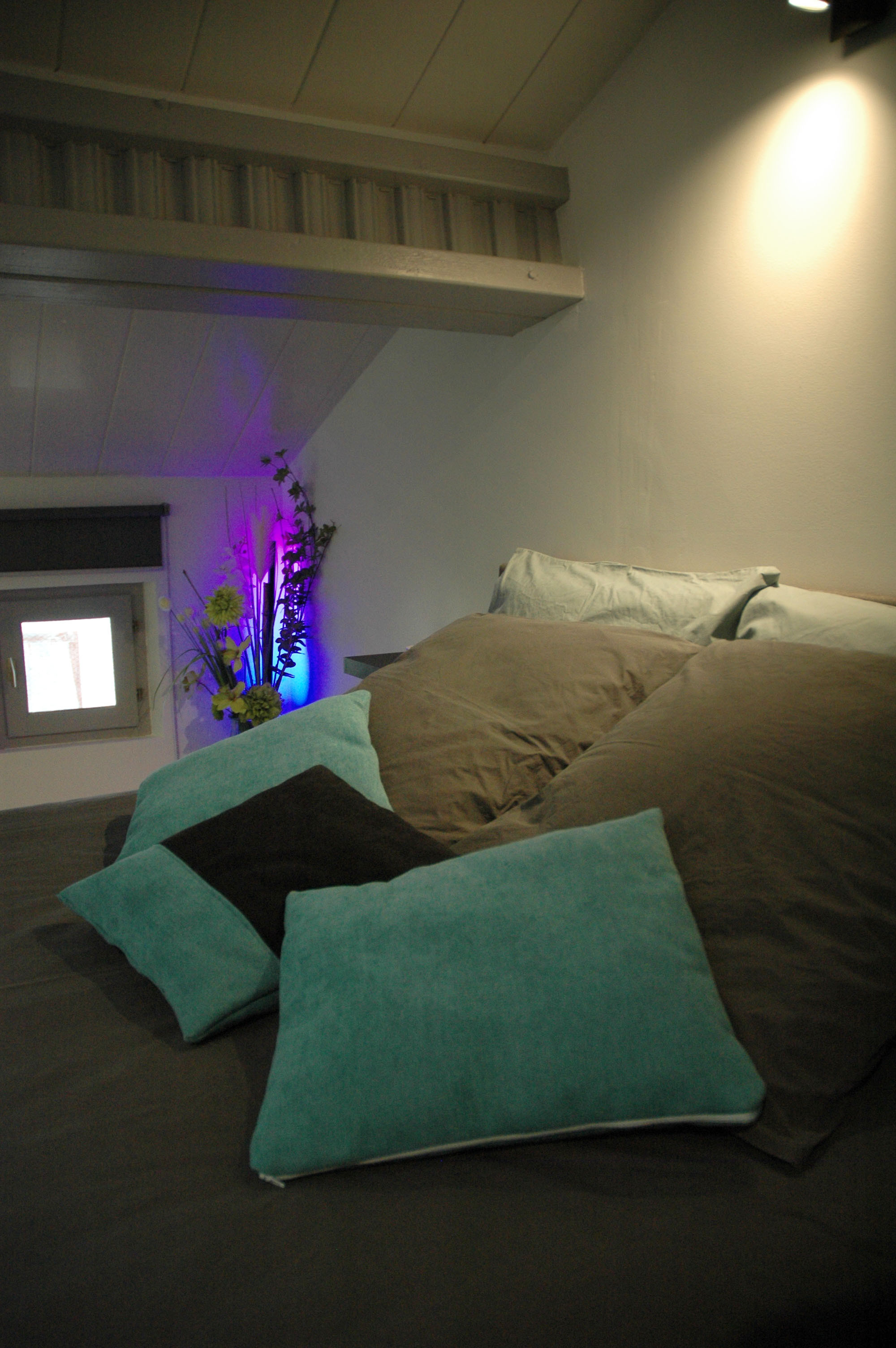 GreenGo Chambre chez l’habitant Provence-Alpes-Côte d'Azur En ville