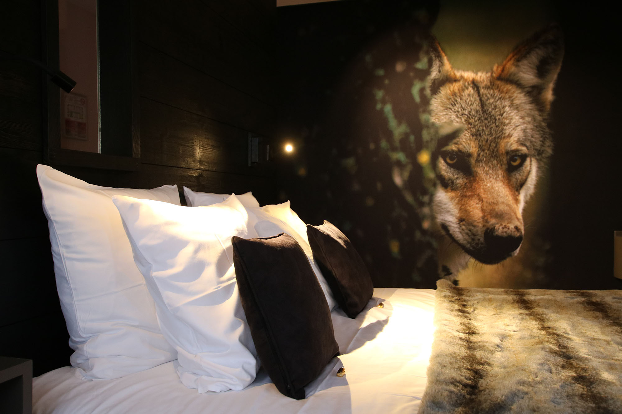 GreenGo Hôtel Grand Est À la montagne