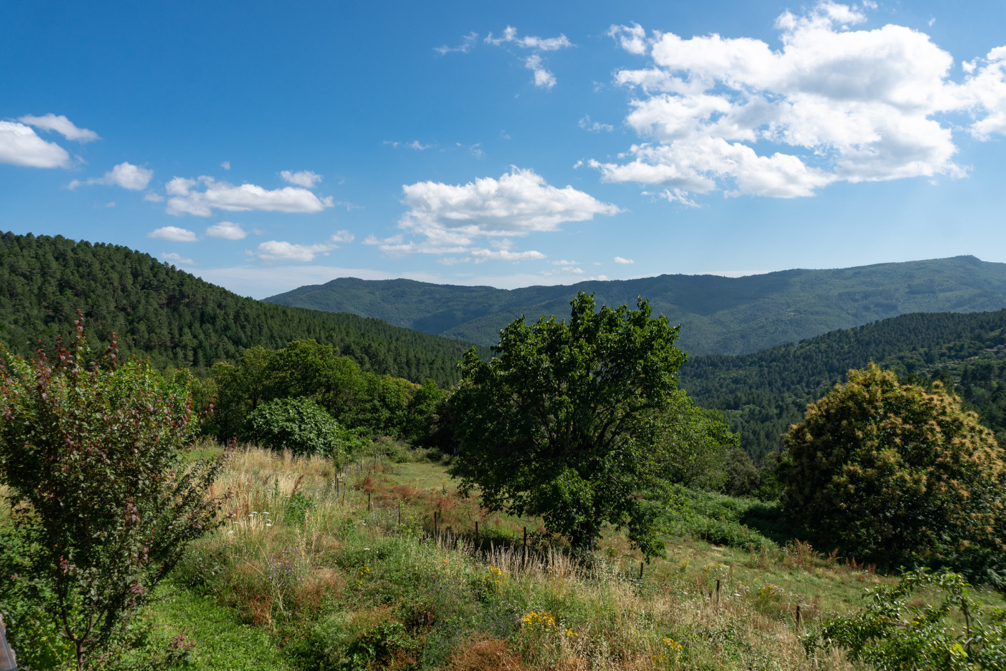 Chambre d’hôtes Lozère À la campagne