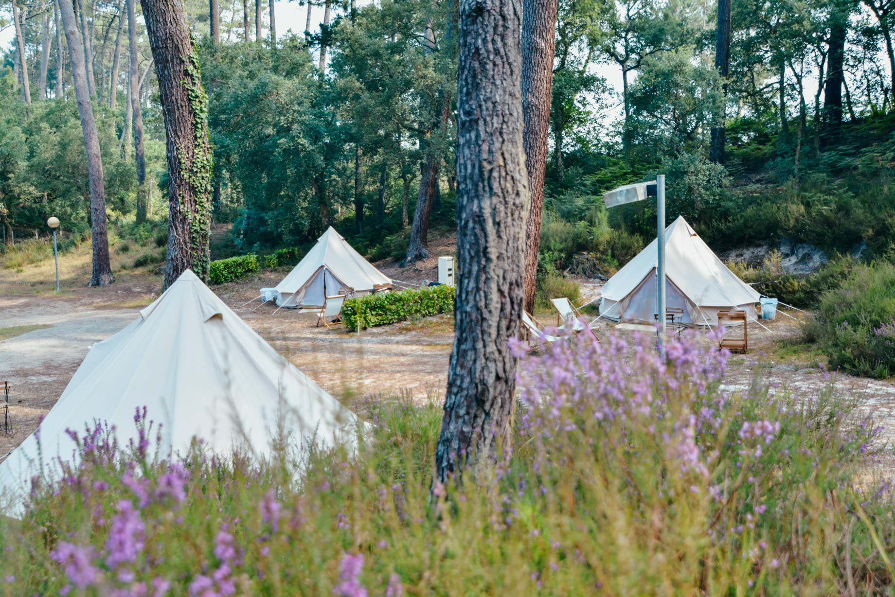 Landes Glamping