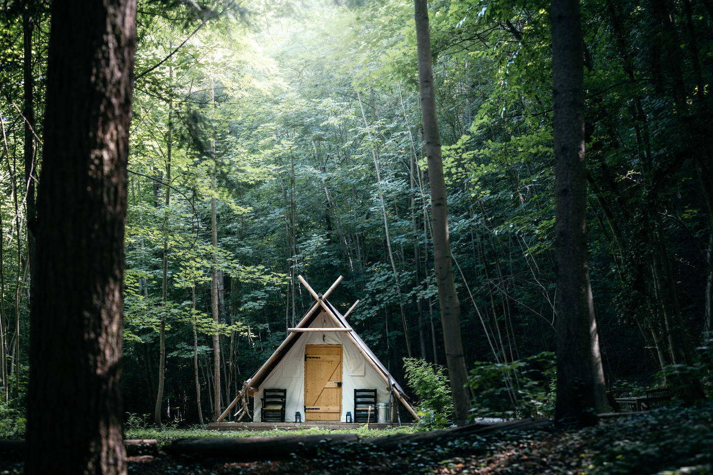Hôte GreenGo: Lyon Country House