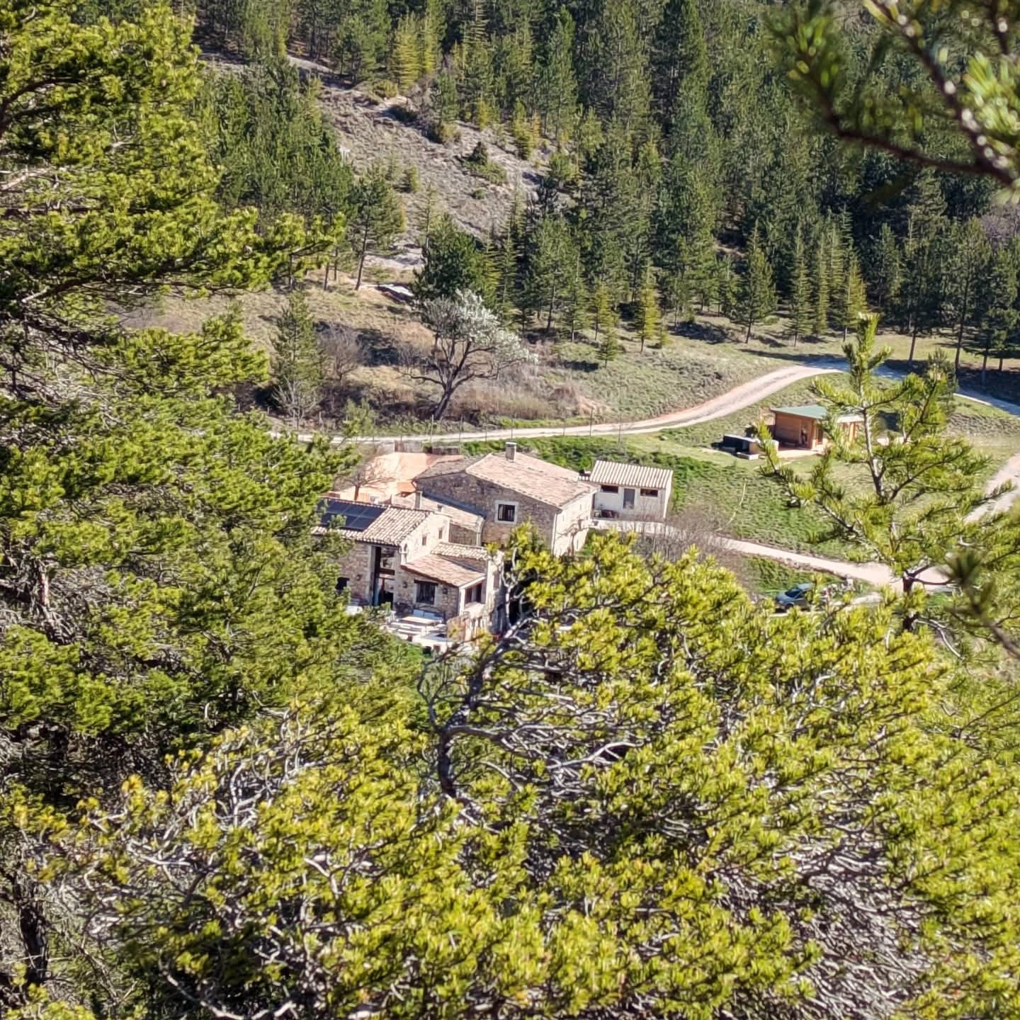 Chambre d’hôtes Drôme En forêt