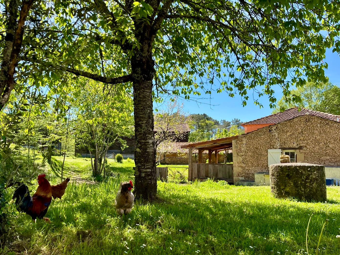 GreenGo Vue épique : Gîte Ferme Magnifique
