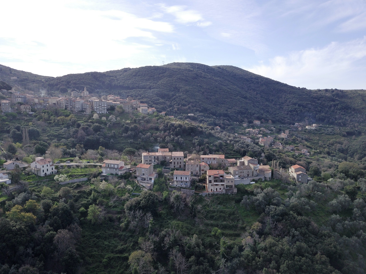 Locations  D' Appartements - Gites
