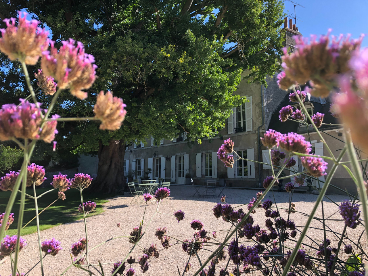 Domaine Saint-Hilaire
