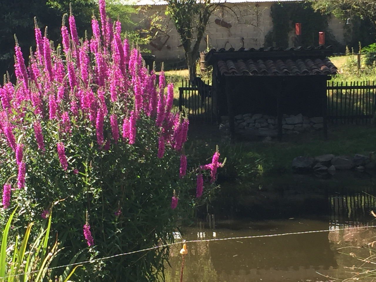 GreenGo location vacances écoresponsables