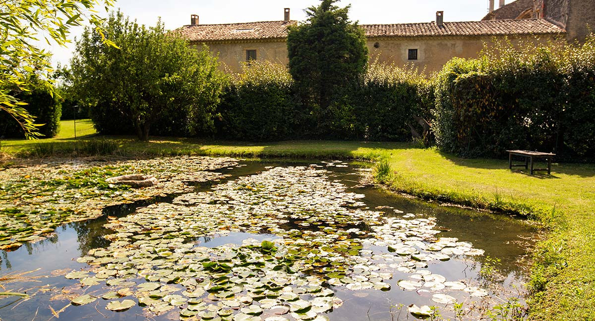 Vaucluse À la campagne
