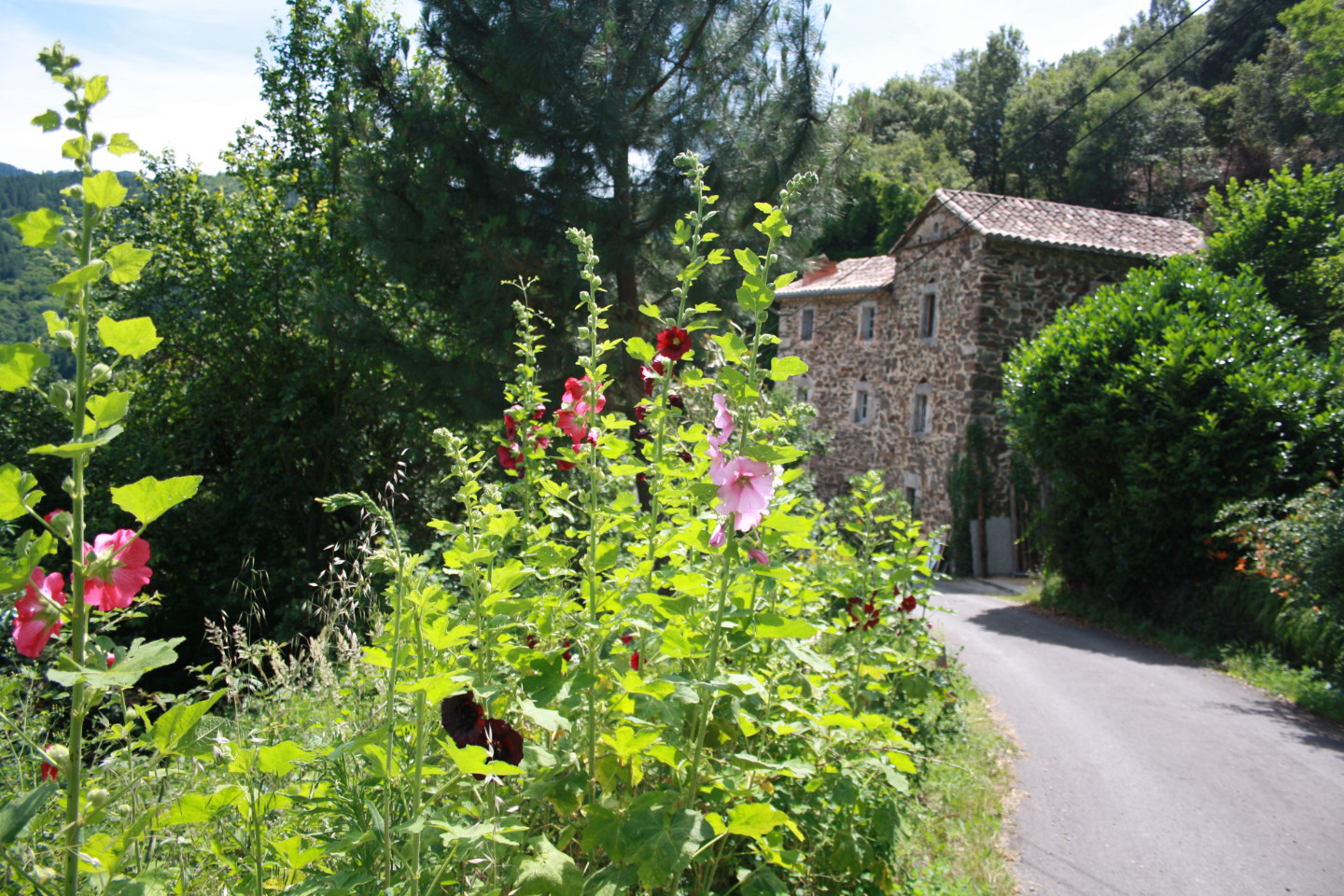 GreenGo Gîte Occitanie Évasion