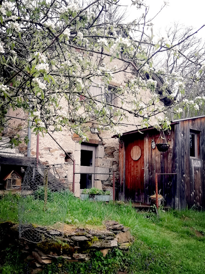 GreenGo location vacances écoresponsables