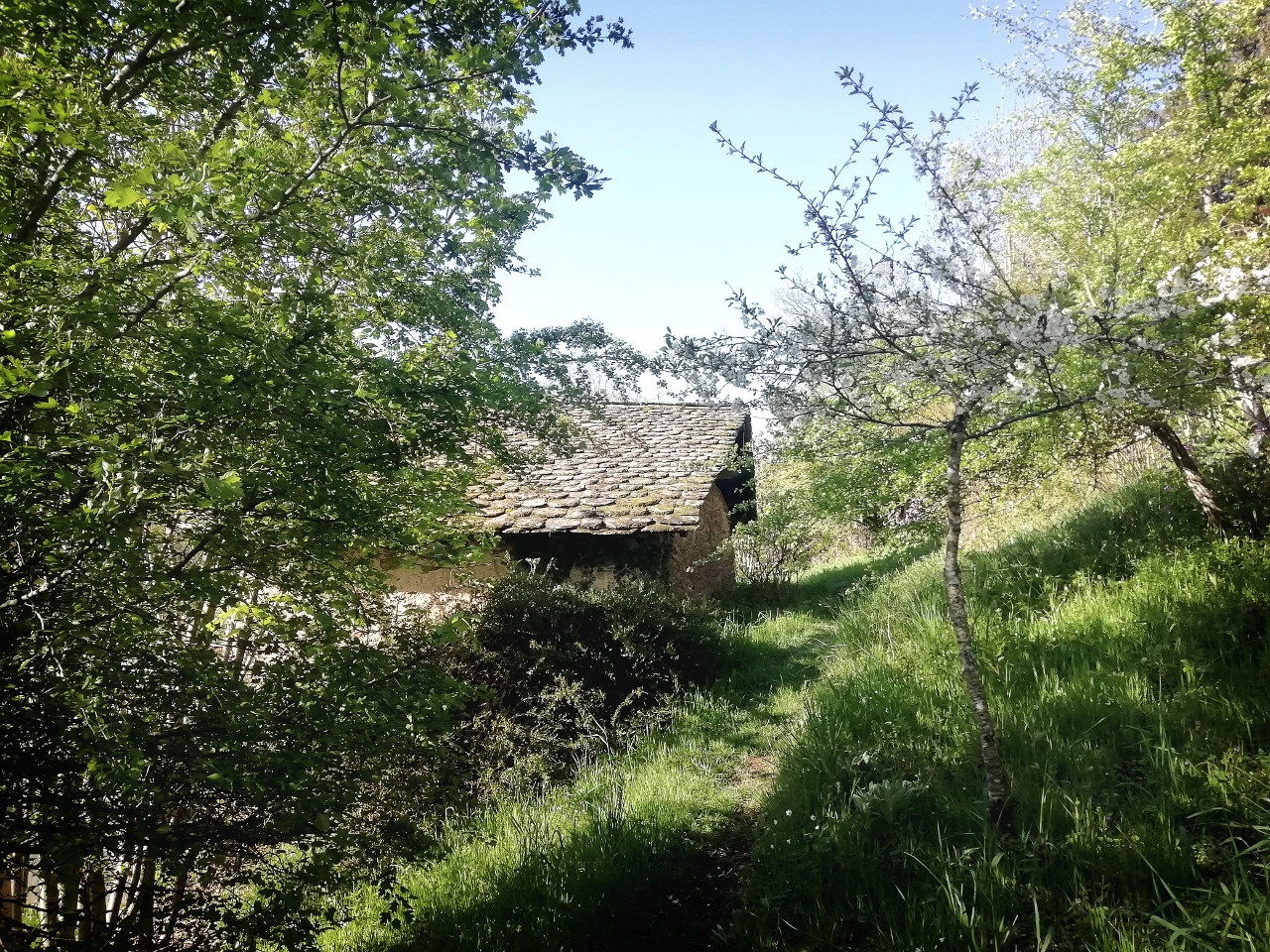 Logement insolite Aveyron À la campagne