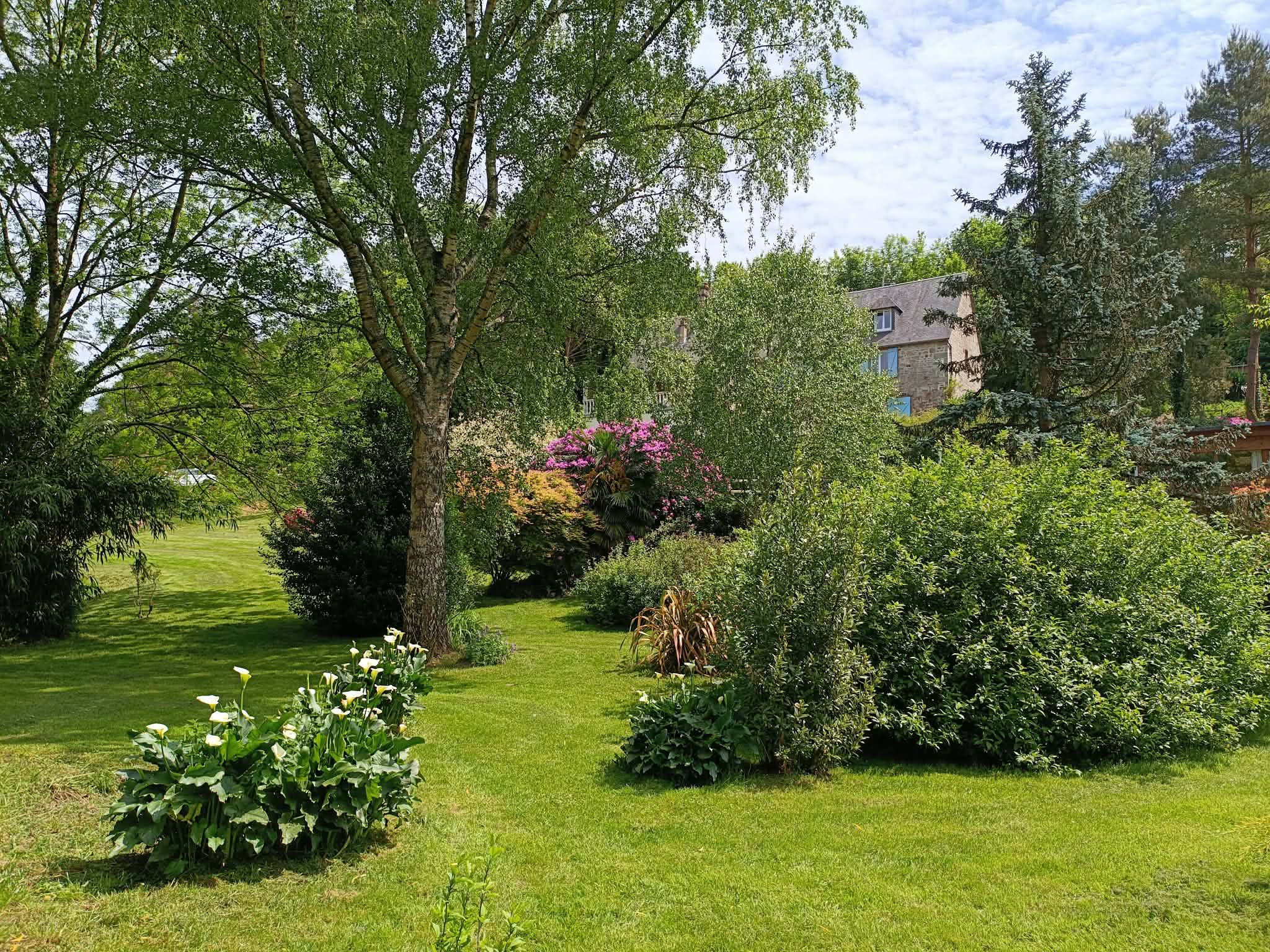 Manche Prix attractifs