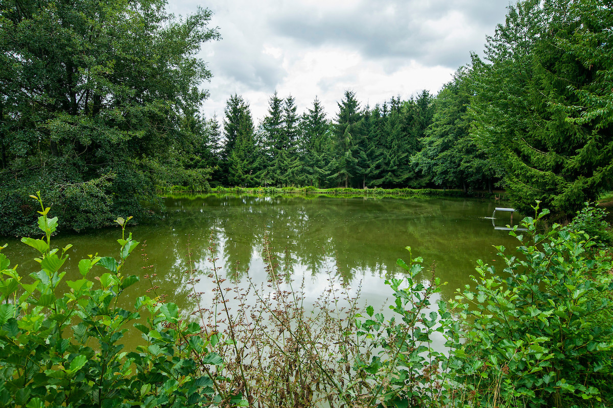 GreenGo Chambre d’hôtes Grand Est Évasion