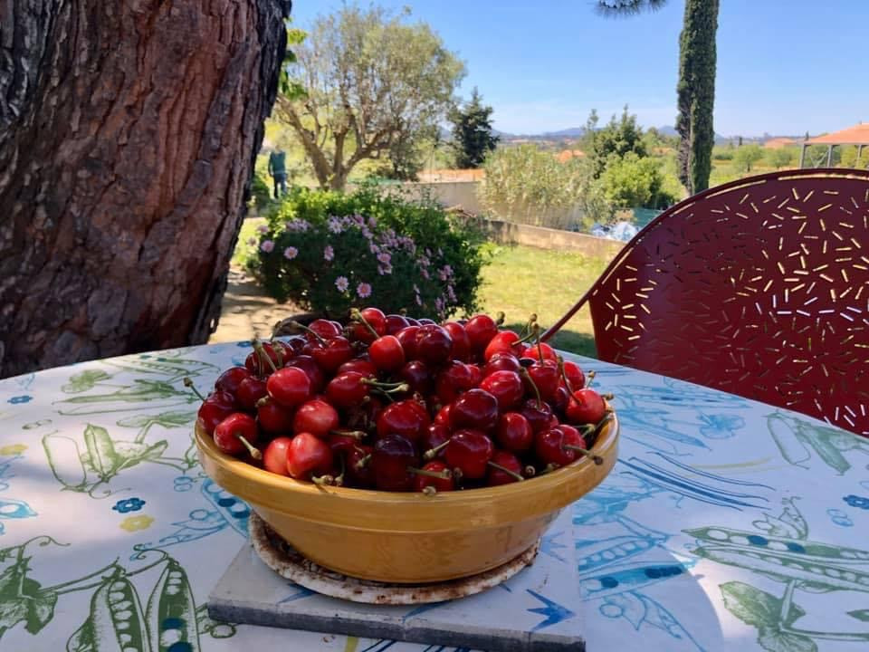 Bouches-du-Rhône À la campagne