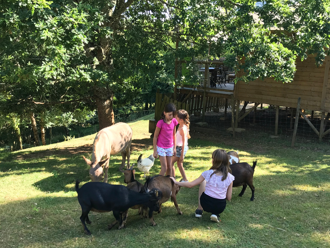  Dordogne Glamping