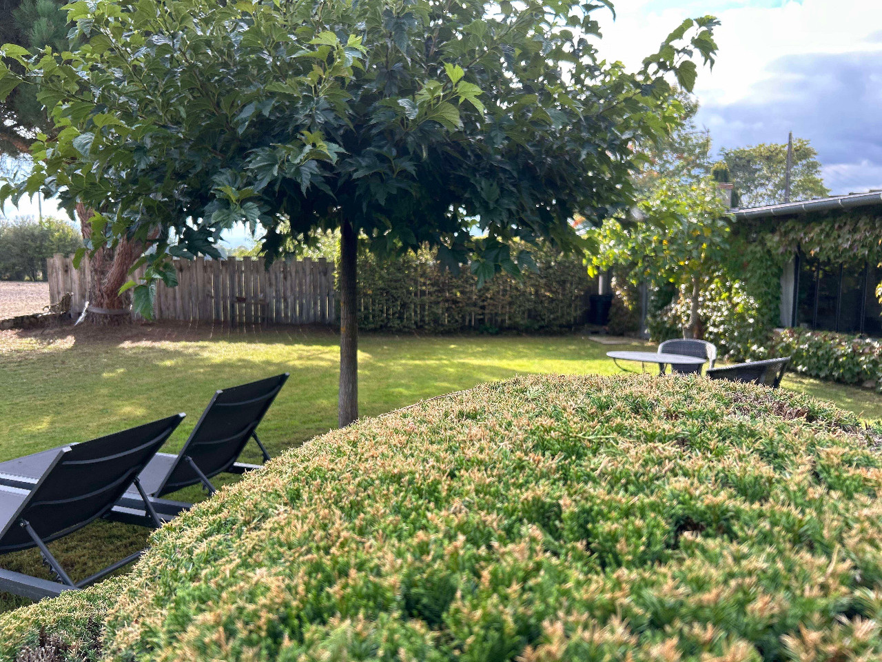 GreenGo L'Atelier, la nature pour horizon