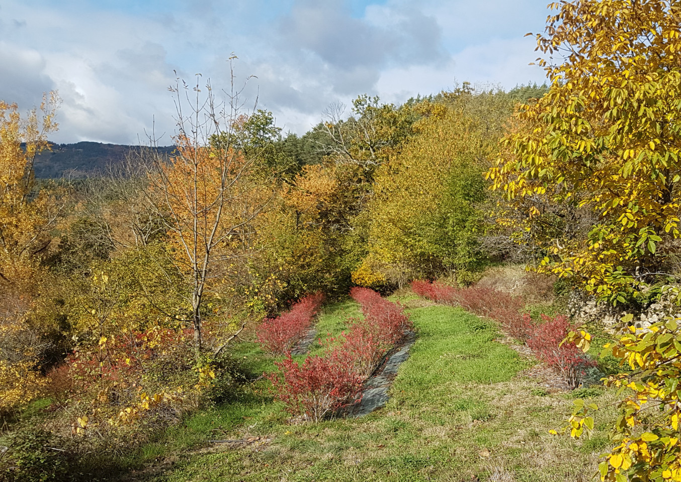 Ardèche Authentique