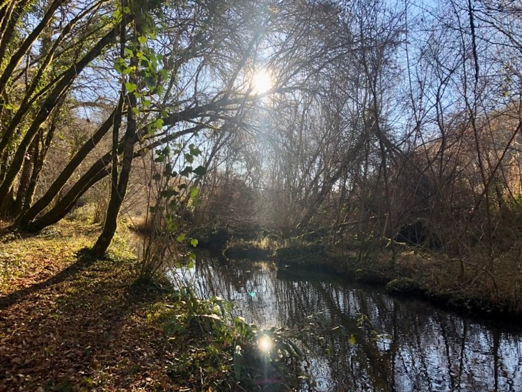 Location Dordogne En forêt